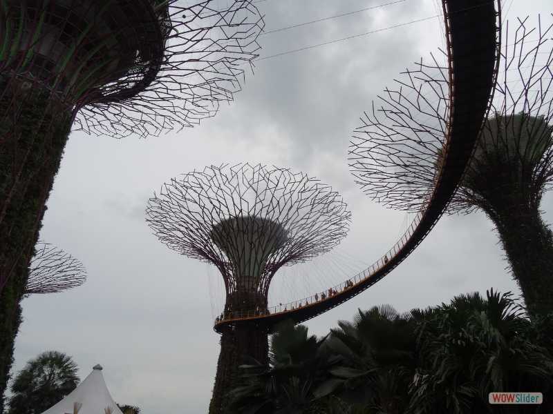 Singapour, dcembre 2016
