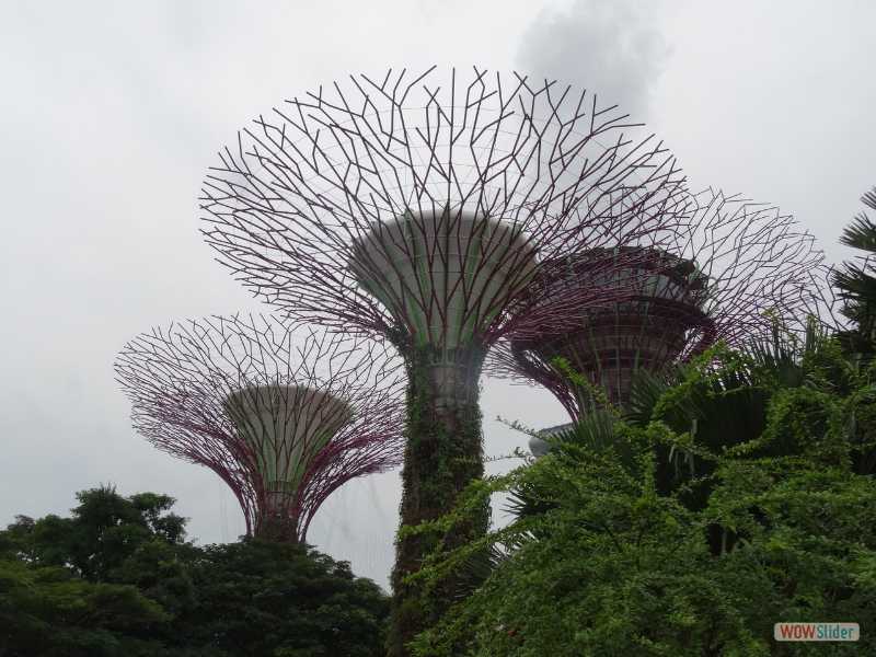 Singapour, dcembre 2016