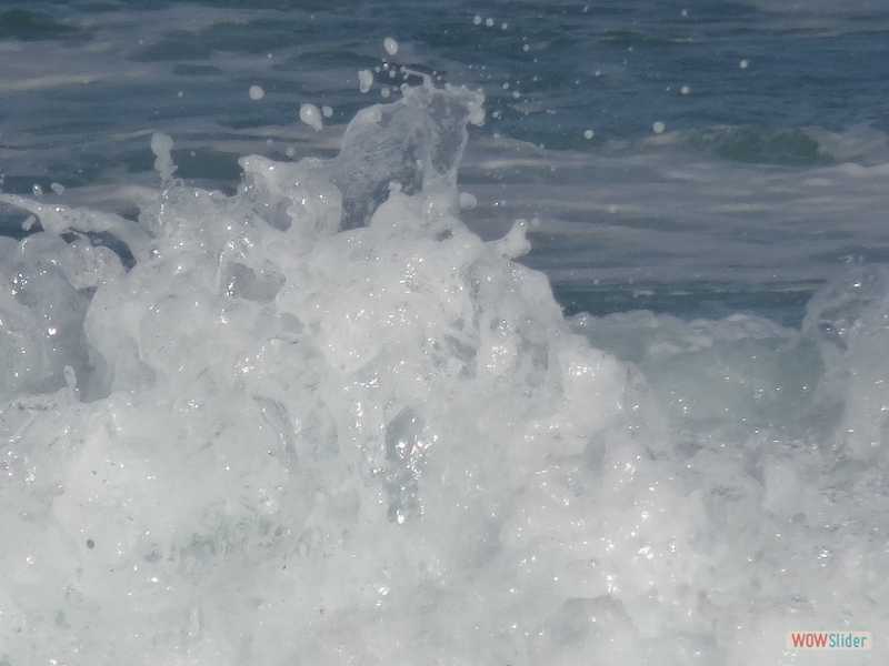 Maroubra Beach (Sydney), dcembre 2016