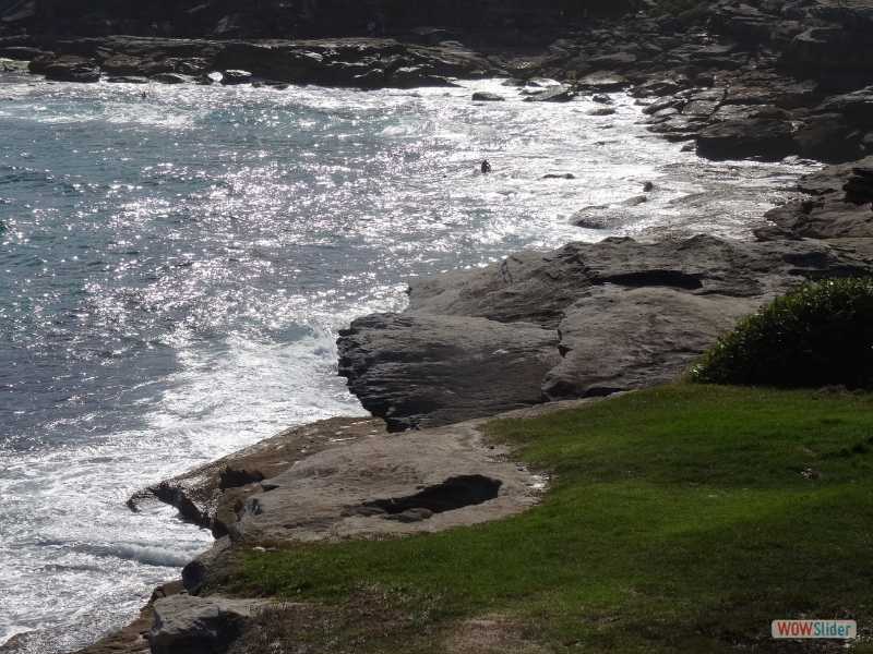 Marks Park, Tamarama (Sydney), dcembre 2016