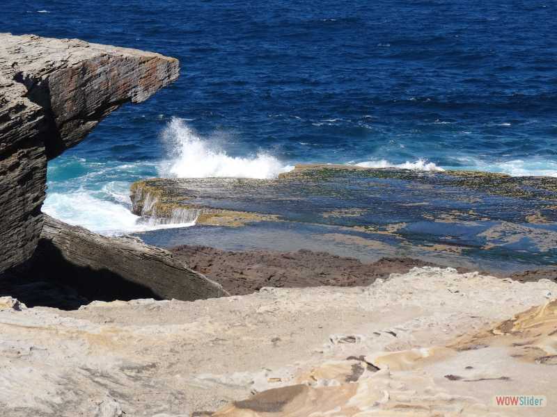 La Perouse (Sydney), dcembre 2016
